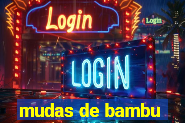 mudas de bambu